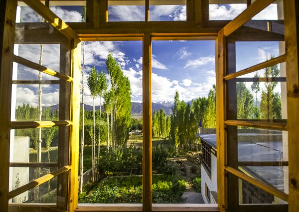 Wood Window Replacement in Helotes